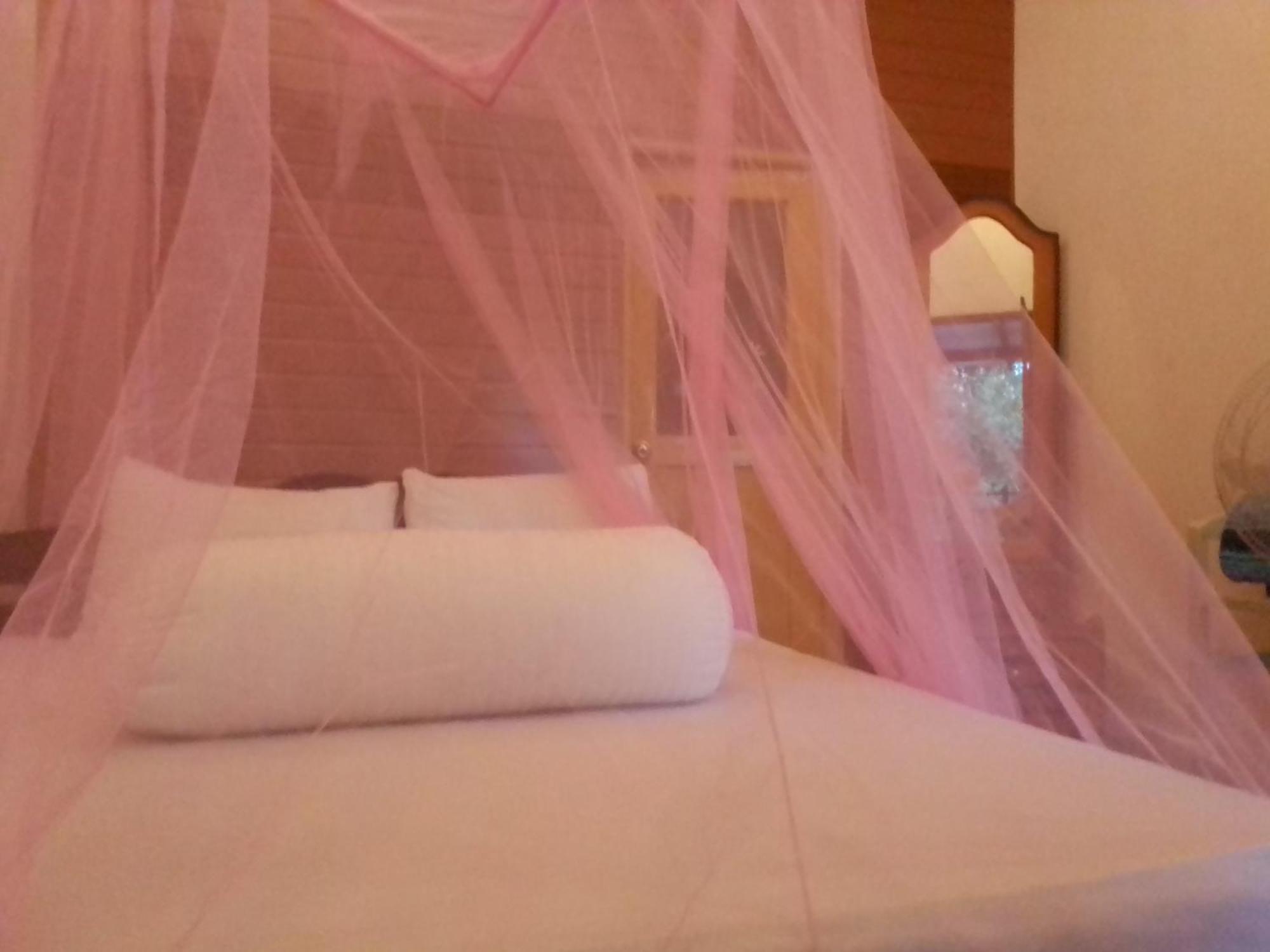 Talblick Homestay Ella Rum bild